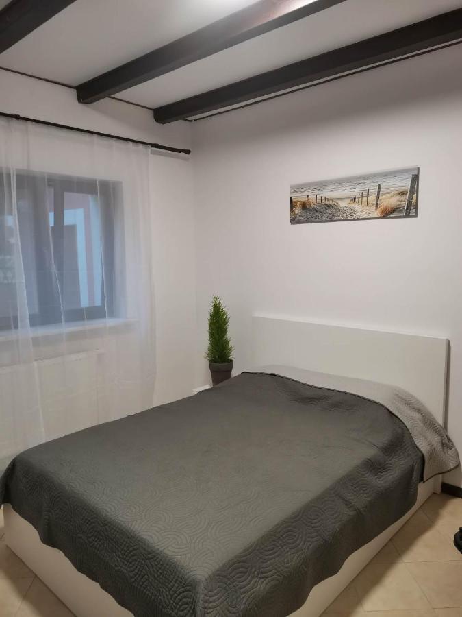 Urocze Studia W Lomiankach, 1- Z Sauna I Tarasem, 2- Z Kominkiem, 3- Ekonomiczne, 7Km Metro Mlociny Warszawa Łomianki Exterior foto